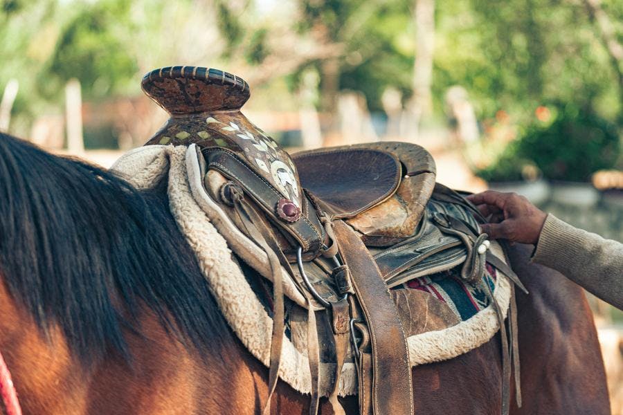 Saddle on horse